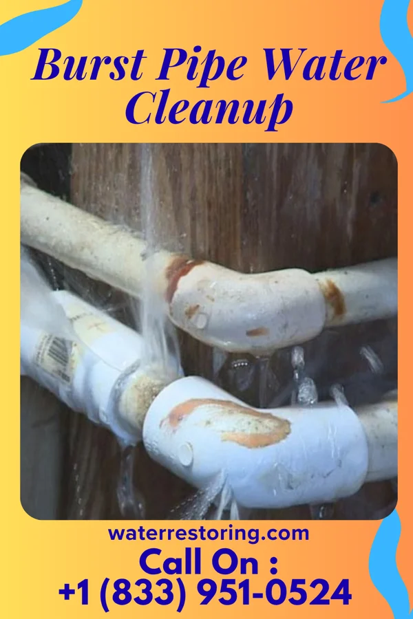 Burst Pipe Water Cleanup in Columbia, TN