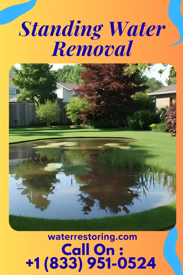 Standing Water Removal in Columbia, TN